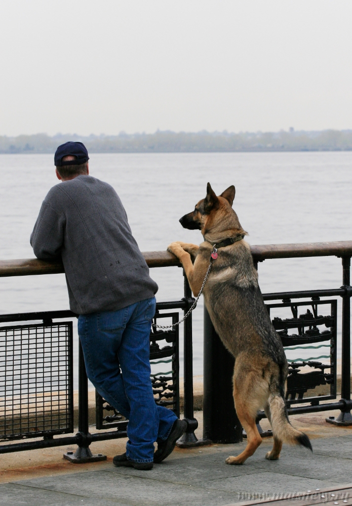 _MG_3637.JPG