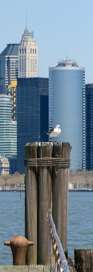 _MG_4190.jpg