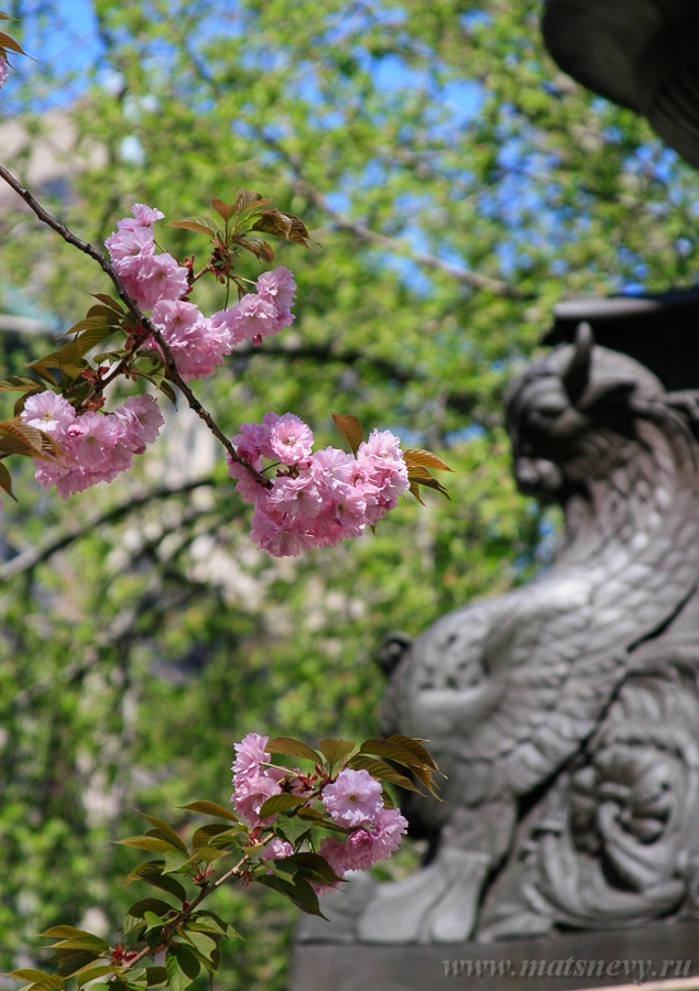 _MG_4444.jpg