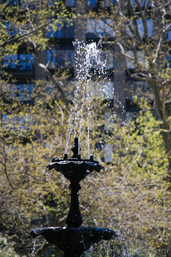 _MG_4462.jpg