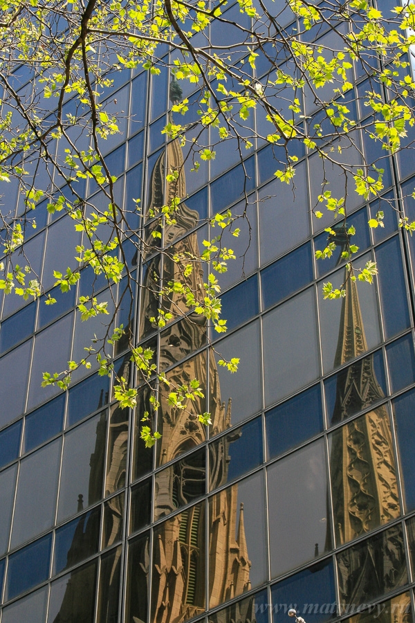 _MG_4884.jpg