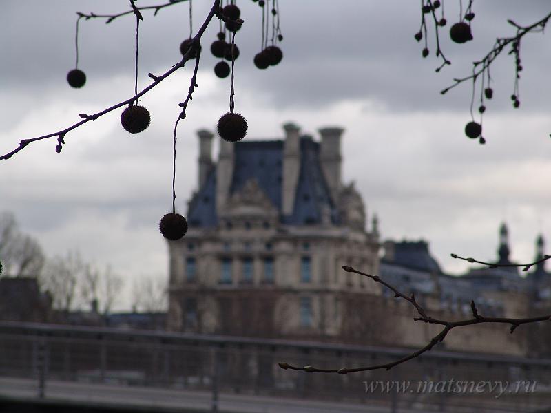 DSC06975.JPG