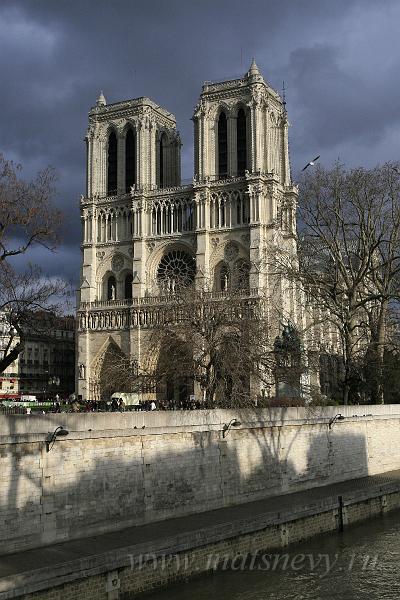 _MG_4613.JPG