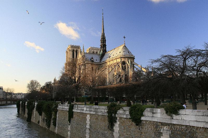 _MG_4785.JPG