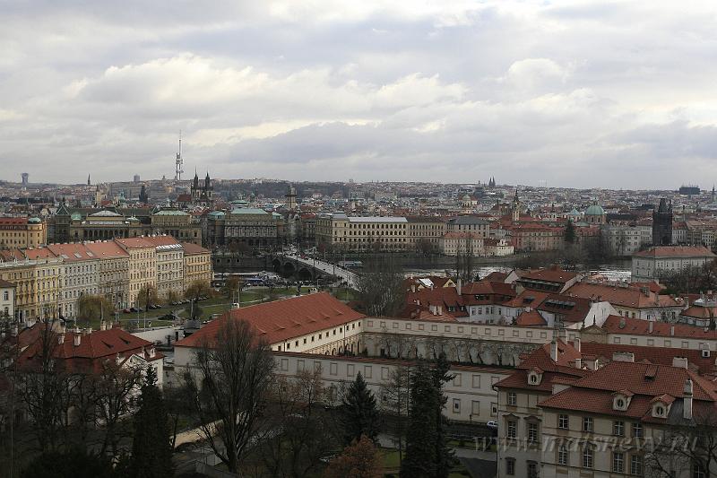 _MG_3727.JPG