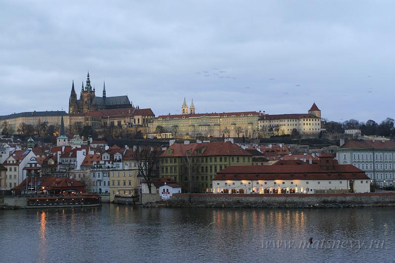 _MG_3772.JPG