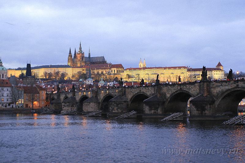 _MG_3783.JPG