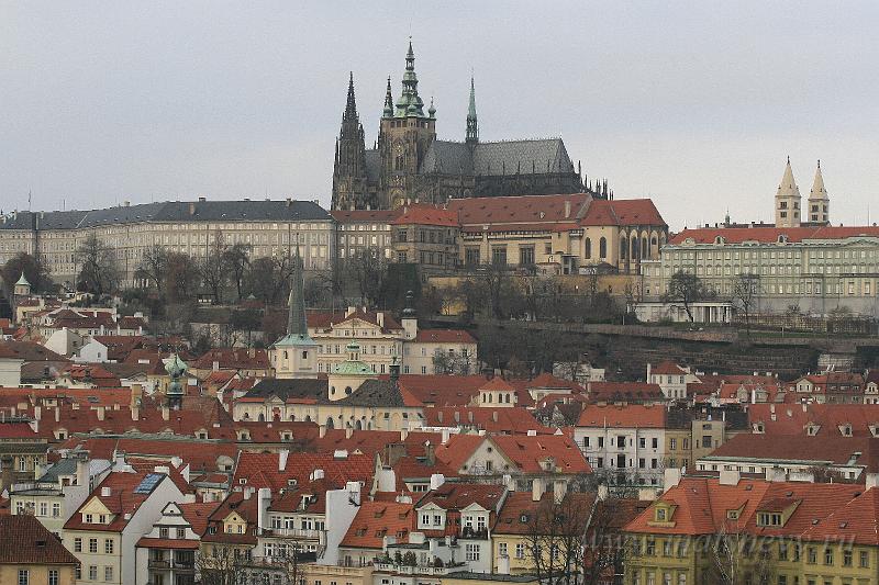 _MG_3836.JPG