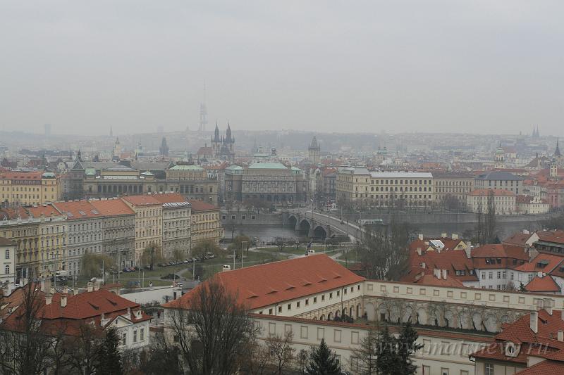 _MG_4175.JPG