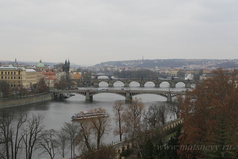 _MG_4242.JPG
