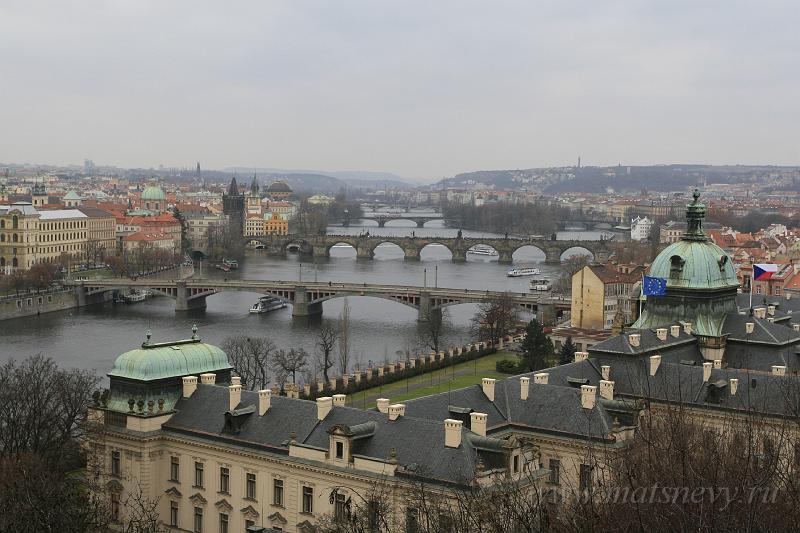 _MG_4246.JPG