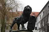 _MG_4219