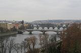 _MG_4242
