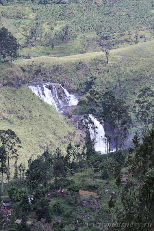 IMG_6414.jpg