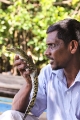 IMG_0744