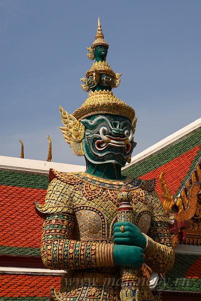 IMG_8287.JPG