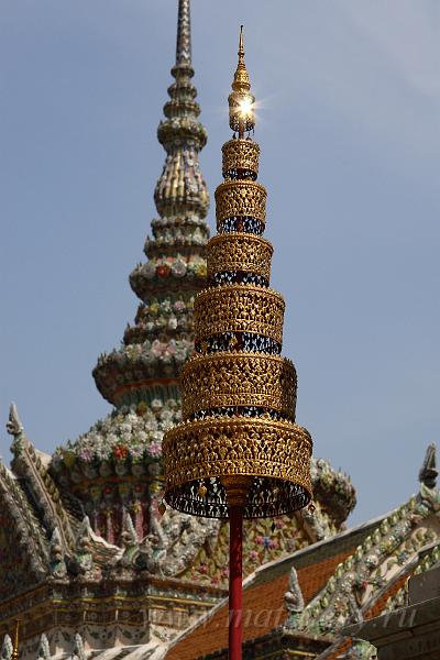 IMG_8310.JPG