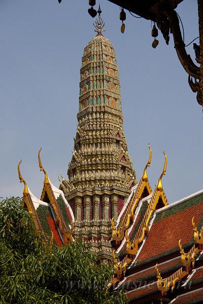 IMG_8379.JPG