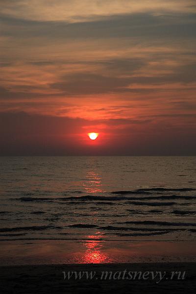 IMG_8982.JPG