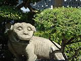 DSC09015