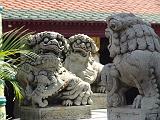 DSC09095