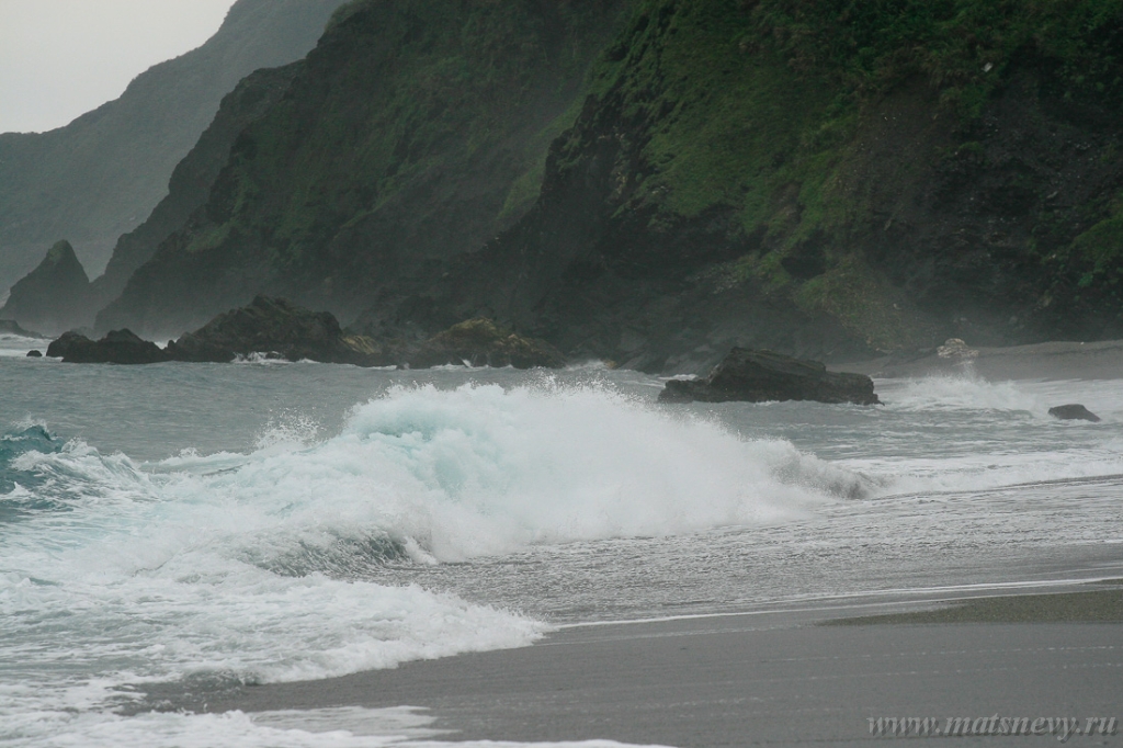 _MG_3460.jpg