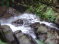 DSC05462