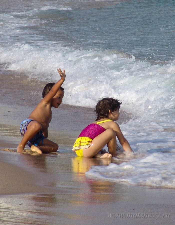 DSC03180a.jpg