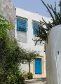 DSC03250
