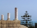 DSC03310