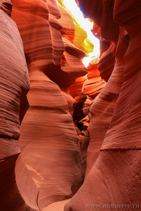 _MG_2155.JPG