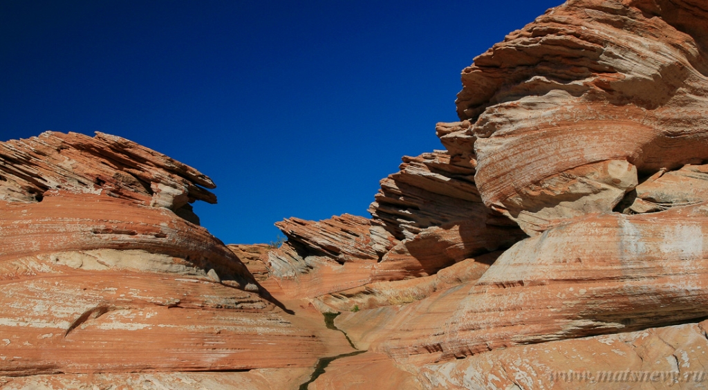 _MG_2279.JPG