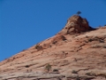 DSC05438