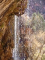 DSC05452
