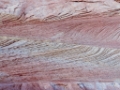 DSC05576