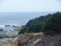 DSC05886