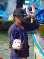 DSC09933