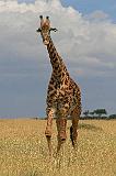 Kenya